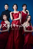 Poster for SKY Castle