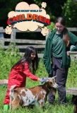 Poster for The Secret World of Children