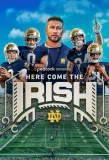 Poster for Here Come the Irish