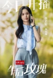 Poster for Dr. Wu