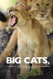 Poster for Big Cats, Small World
