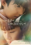 Poster for The Time of Fever