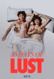Poster for 30 Tage Lust