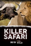 Poster for Killer Safari