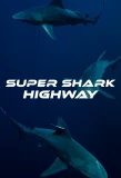 Poster for Super Shark Highway
