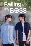 Poster for Falling for my BOSS