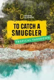 Poster for To Catch a Smuggler: Tropical Takedown