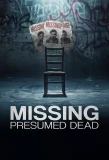 Poster for Missing, Presumed Dead