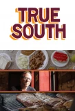 Poster for TrueSouth