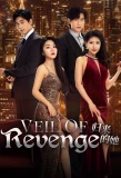 Poster for Veil of Revenge