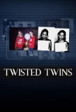 Poster for Twisted Twins