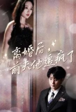 Poster for 离婚后前夫他追疯了