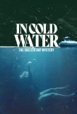 Poster for In Cold Water: The Shelter Bay Mystery