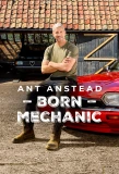 Poster for Ant Anstead: Born Mechanic