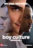 Poster for Boy Culture: Generation X