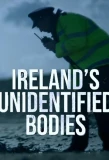 Poster for Ireland's Unidentified Bodies