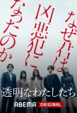 Poster for Invisible Us