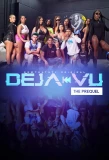 Poster for DejaVu