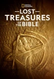 Poster for Lost Treasures of the Bible