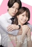 Poster for The Reason We Fall in Love