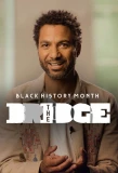 Poster for The Bridge