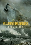 Poster for Yellowstone Wolves: Succession