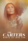 Poster for The Carters: Hurts To Love You