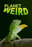 Poster for Planet Weird