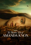 Poster for The Twisted Tale of Amanda Knox
