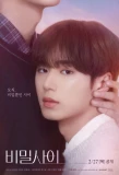 Poster for Secret Relationships