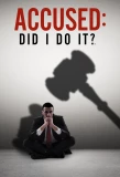 Poster for Accused: Did I Do It?