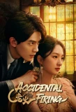 Poster for Accidental Firing