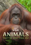 Poster for Animals, They're Just Like Us!