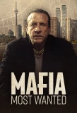 Poster for Mafia: Most Wanted
