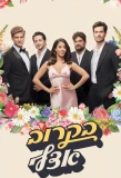 Poster for Save the Date