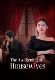 Poster for The Awakening of Housewives