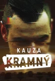 Poster for Kauza Kramný