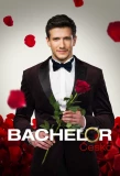 Poster for Bachelor Česko