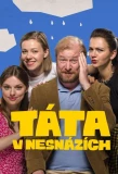 Poster for Táta v nesnázích