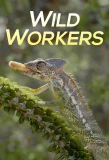 Poster for Wild Workers