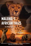 Poster for Maleika's African Tales