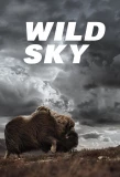Poster for Wild Sky