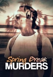 Poster for Spring Break Murders