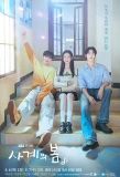 Poster for Spring of Youth
