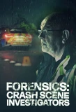Poster for Forensics: Crash Scene Investigators