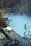 Poster for Remote Onsen