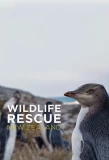 Poster for Wildlife Rescue New Zealand