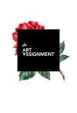 Poster for The Art Assignment