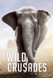 Poster for Wild Crusades