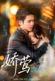 Poster for Beauty Warbler